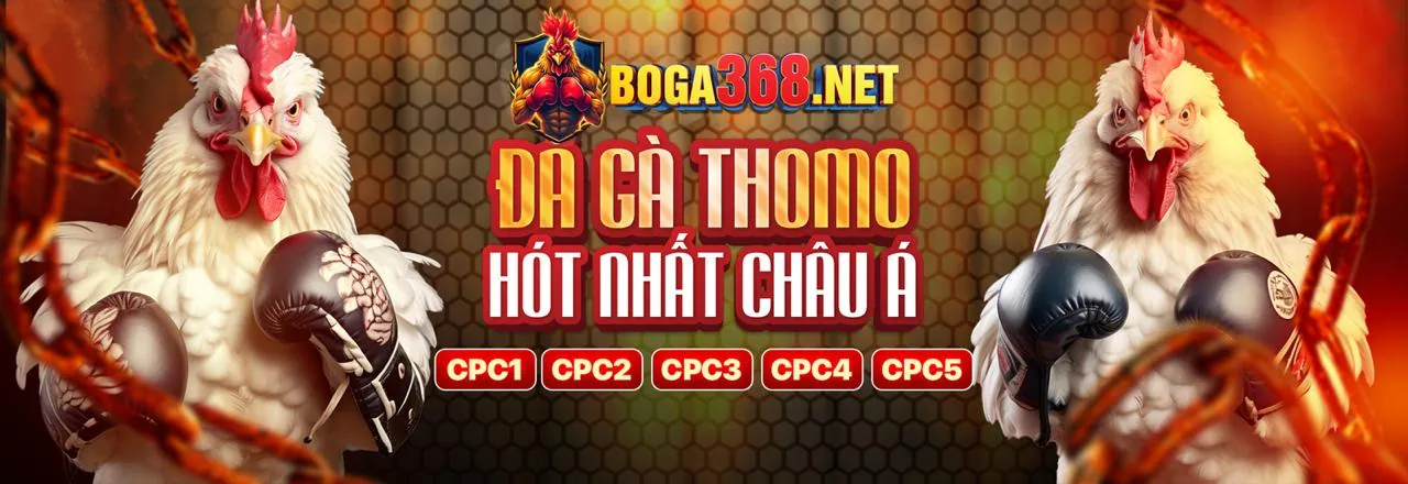 Hình ảnh giới thiệu Kubet Chính Thức