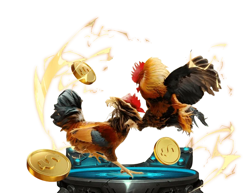 Biểu đồ các dấu hiệu của cờ bạc có vấn đề